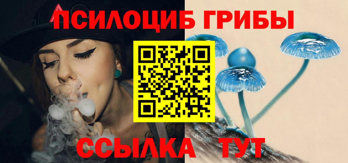 Галлюциногенные грибы Psilocybine cubensis Гагарин