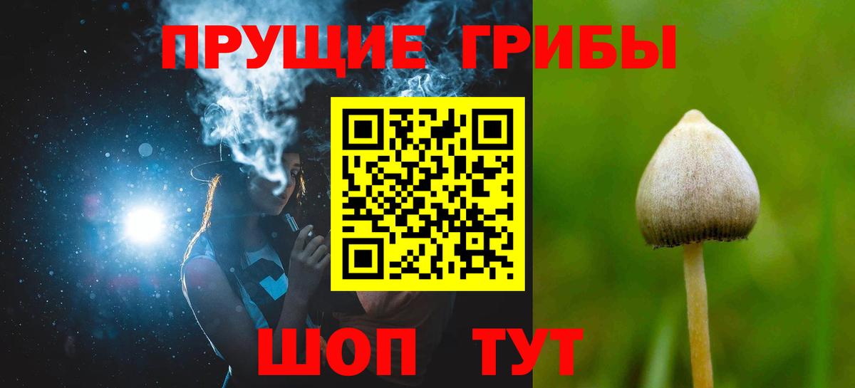 Псилоцибиновые грибы Psilocybine cubensis  закладки  Гагарин  Вход с VPN 
